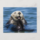 Search for grooms postcards Animal