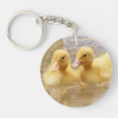 Search for yellow duck key rings Wildlife