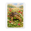 Search for tortoise magnets Flowers