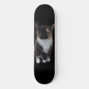 Search for ramps skateboards Street