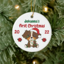 Search for australian shepherd christmas tree decorations Dogs