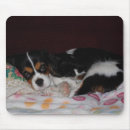 Search for charles spaniel mouse mats Pet