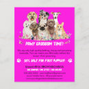 Search for simple flyers Veterinary