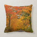 Search for colorful cushions Pretty