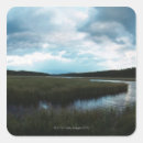 Search for marsh stickers Usa