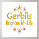 Search for gerbils posters Pets