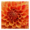 Search for 20x20 posters Semi gloss