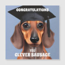 Search for dachshund graduation cards Graduate