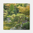 Search for asian style magnets Nature