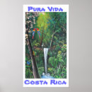 Search for costa rica rainforest posters Travel