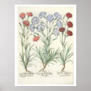 Search for flores posters Flowers