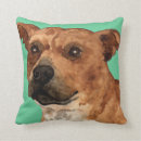 Search for staffordshire bull terrier cushions Staffie