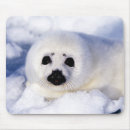 Search for seals mouse mats Seal pup