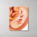 Search for developer canvas prints Digitally generated image