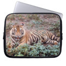 Search for sumatran electronics Photography