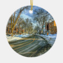 Search for madison wisconsin christmas tree decorations Winter