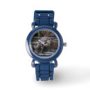 Search for otter watches Animal