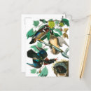Search for john audubon postcards Wildlife