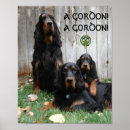 Search for gordon art Animal