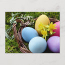 Search for egg basket postcards Blue