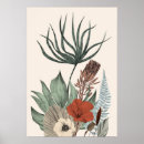 Search for protea posters Botanical
