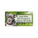 Search for pitbull return address labels Pet
