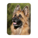 Search for deutscher magnets Headshot