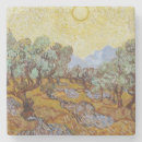 Search for olive grove Tree