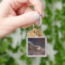 Search for star formation key rings Stellar nursery