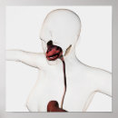 Search for human digestive system posters Transparent