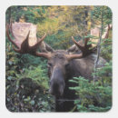 Search for woodland park stickers North america