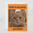 Search for orange cat invitations Funny