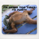 Search for too mouse mats Animal
