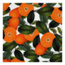 Search for 20x20 posters Orange