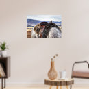 Search for horse ranch posters Rodeo