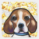Search for beagle mum stickers Beagles