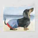 Search for dachshund puppy postcards Canine