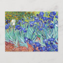 Search for dutch iris postcards Impressionism