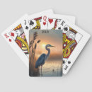 Search for blue heron Outdoors