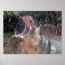 Search for greeting baby kids Animals