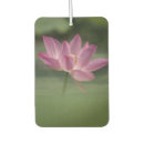 Search for art car air fresheners Nature