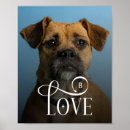 Search for lovely dog posters For pets