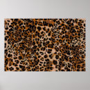 Search for cheetah animal posters Leopard