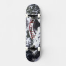 Search for winter skateboards Bridge