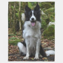 Search for border collie blankets Canine