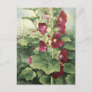 Search for acryl postcards Plant