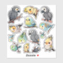 Search for parrots stickers African grey