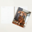 Search for mini small planners Cute