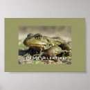Search for frog lover posters Fun