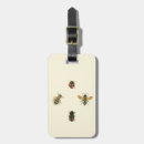 Search for bordered accessories Insects